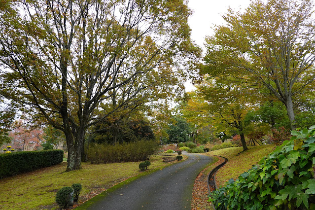 鳥取県西伯郡南部町鶴田　とっとり花回廊