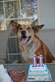 Brisbane's eleventh birthday