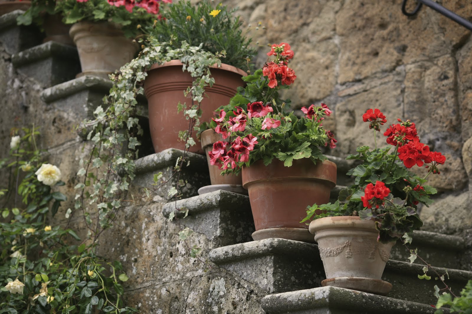 Marvelous Mediterranean Backyard Landscaping Ideas