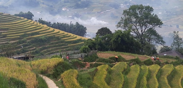 The Best Trekking Packages In Vietnam