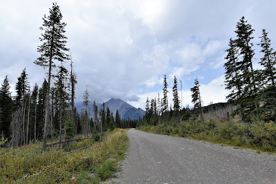 Elk Pass Trail BC.