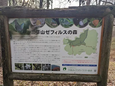 セルフィスの森ゲートのところ案内