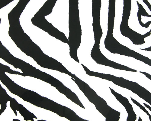 Cartoon Pics Of Zebras. zebra wallpaper by ~Alamic05