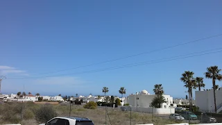 the bright, blue skies and palm trees as seen from my back window.