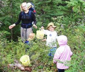 Family Picking Blueberries