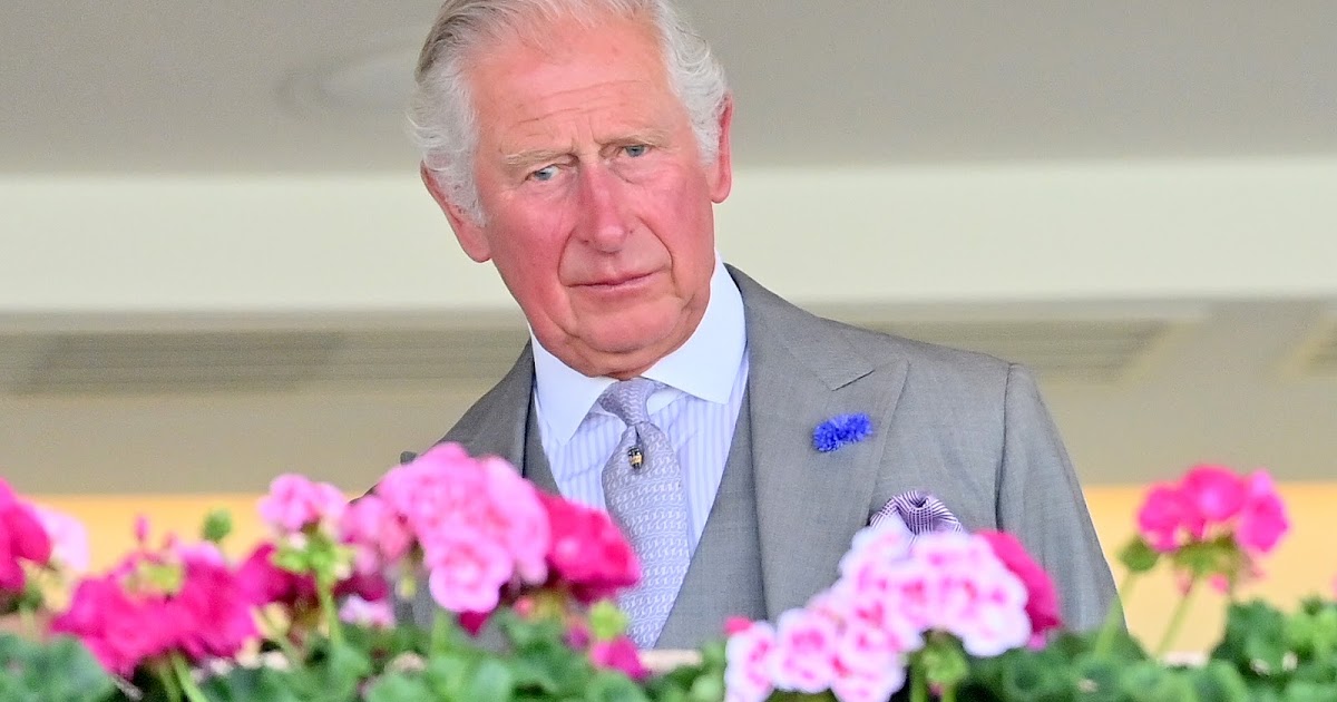 Prince Charles did not attend Lady Diana statue unveiling ...