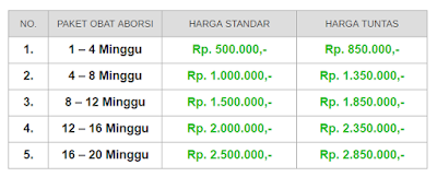 Cara Menggugurkan Kandungan Bersama Obatnya