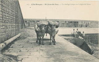 pays basque 1900