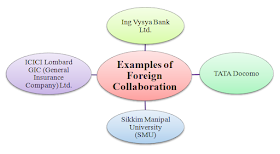 examples of foreign collaboration