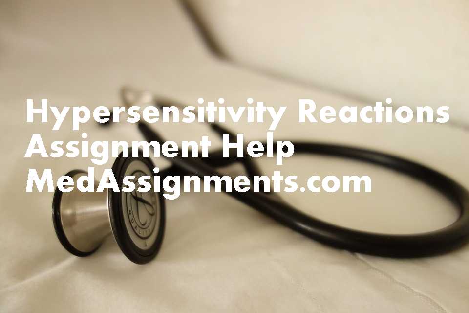 Bur And Hand Piece Assignment Help