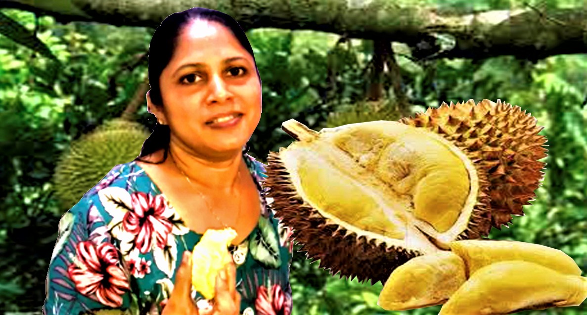 Eating Durian Fruit - Durian Fruit Tasting - SriLankan Durian