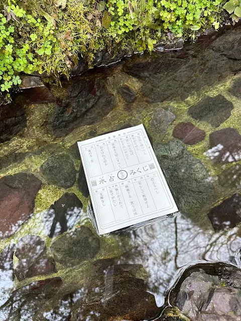 貴船神社の水占