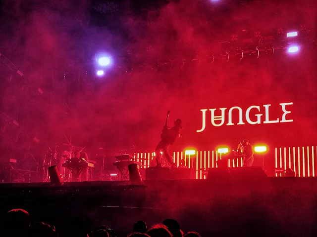 Jungle, Fest Festival 2022