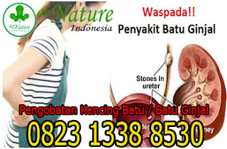 https://obatpeluruhbatuginjal.blogspot.com/2019/03/nama-merk-obat-batu-ginjal-kencing-batu.html