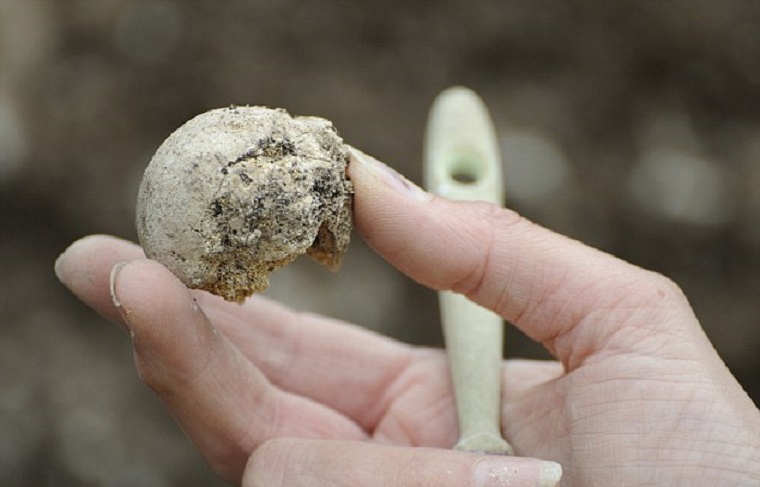 Stonehenge may have served as a cremation cemetery