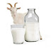 6 Fungsi Susu Kambing Bagi Kesehatan