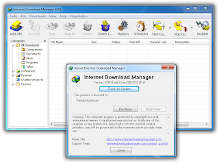 Picture showing Registered IDM 6.04 Build 3