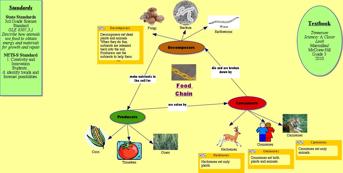 food chain diagram. food web diagram template.