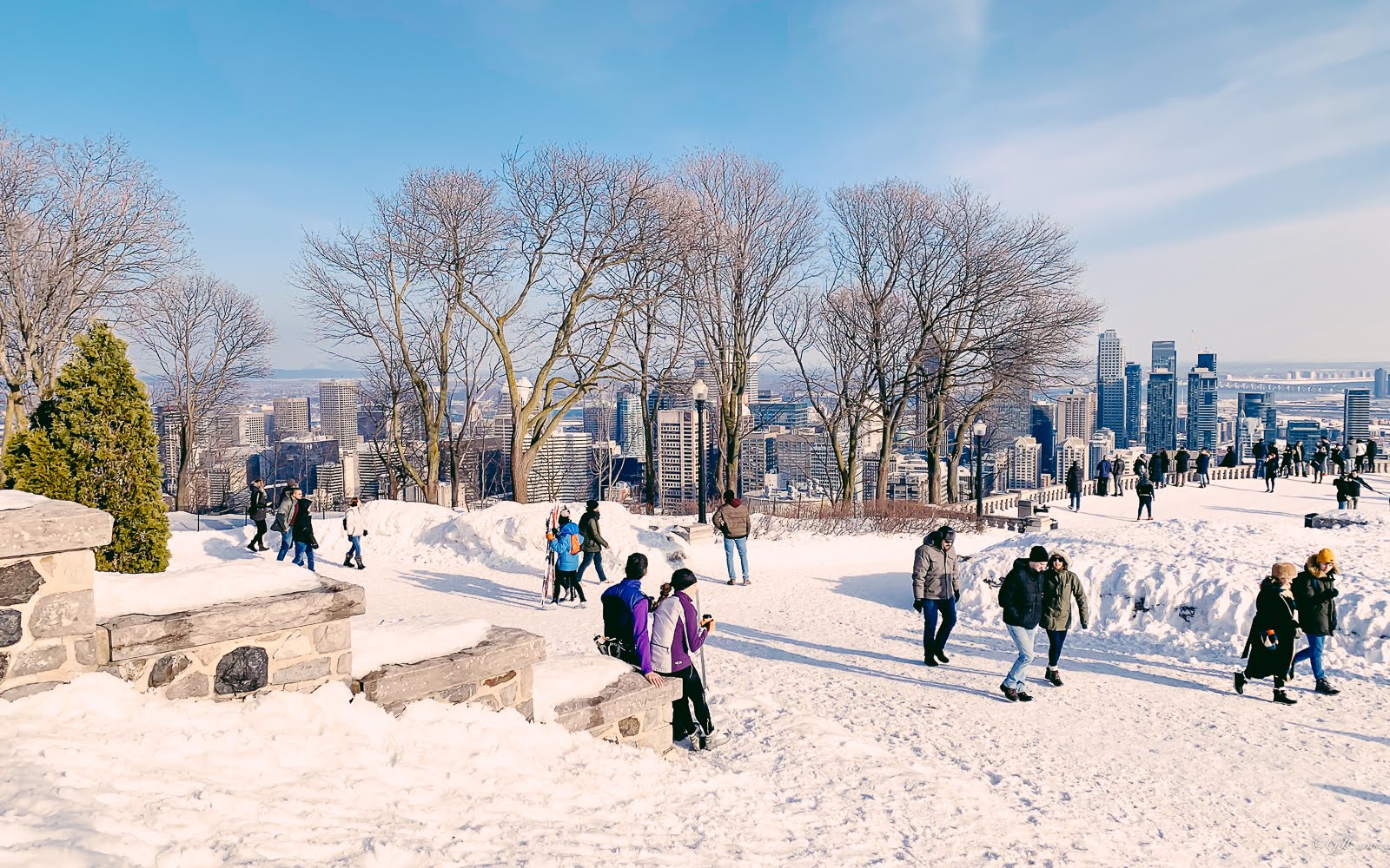 Mount Royal Lookout: Things To Do in Montreal, Quebec, Canada