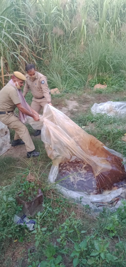 इंदौरा पुलिस ने मंड एरिया में नजायज शराब तैयार करने बाले कारोबारियों के घरों में दविस देकर लाखो मिलीलीटर कच्ची शराब बहाई