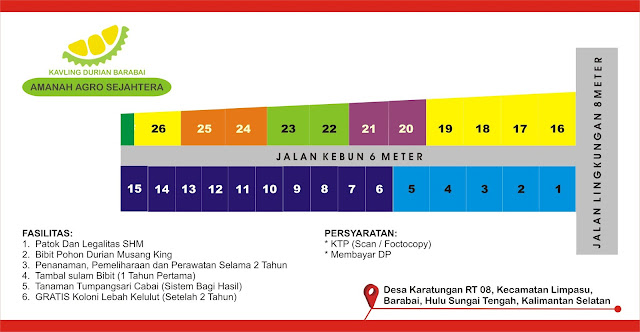 Siteplan Kavling Durian Musang King Barabai