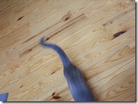 DSCN3391