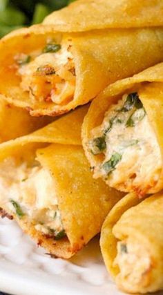 Cream Cheese and Chicken Taquitos make for an easy and tasty dinner!