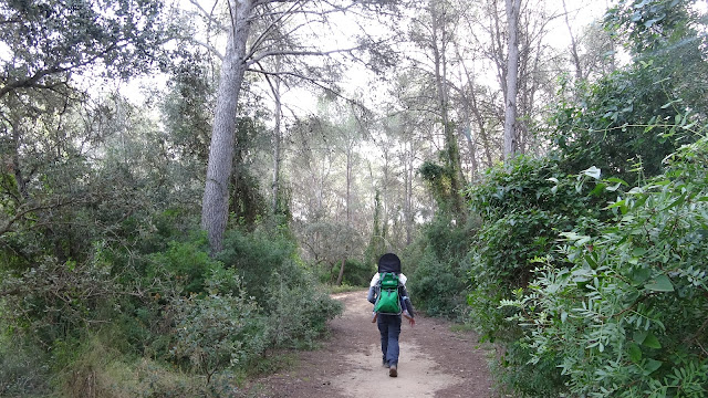 Camí a Sant Simplici