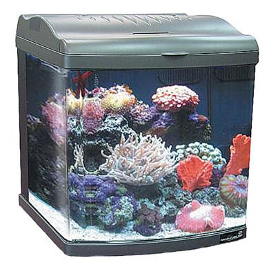 24 gallon nano cube deluxe aquarium