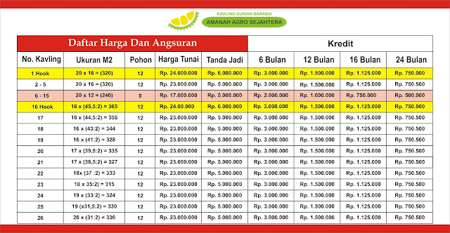 Harga dan Angsuran Kavling Durian Musang King Barabai