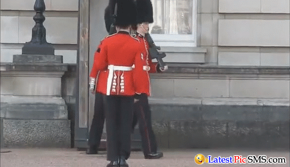 Buckingham Palace Guard Slips and Falls in front of Visitors