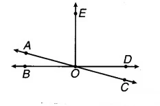 Solutions Class 7 गणित Chapter-5 (रेखा एवं कोण)