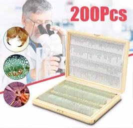 Prepared microscope slides