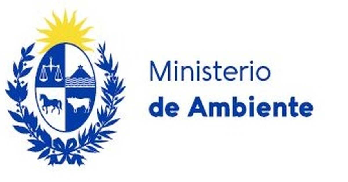 Llamados Ministerio de Ambiente 2023