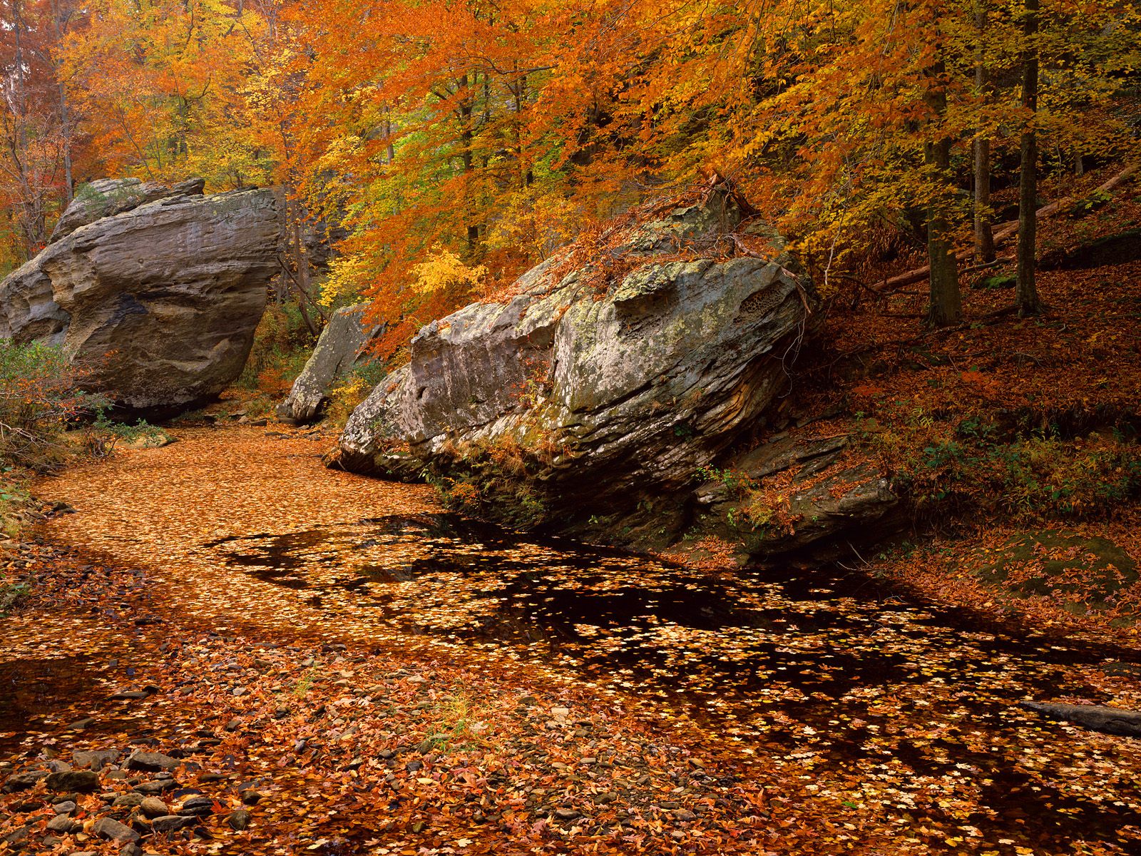 Natural fall. Национальный лес Шоуни Иллинойс. Скалы осень. Осенний камень. Камень в осеннем лесу.