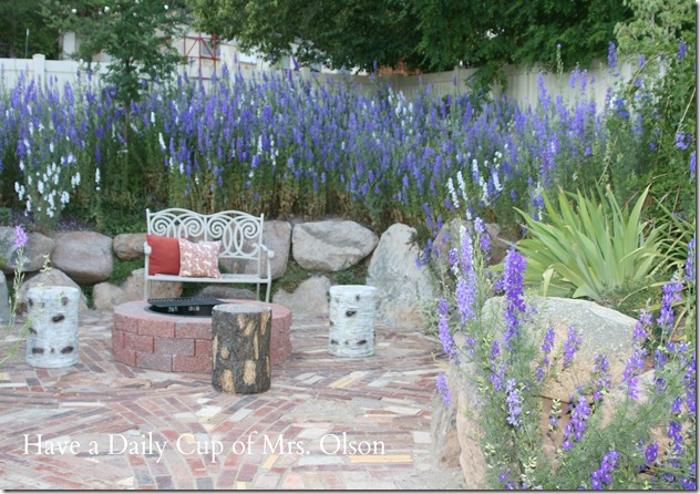 Larkspur in firepit