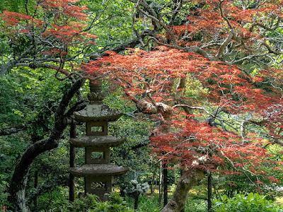 Spring garden: Jochi-ji