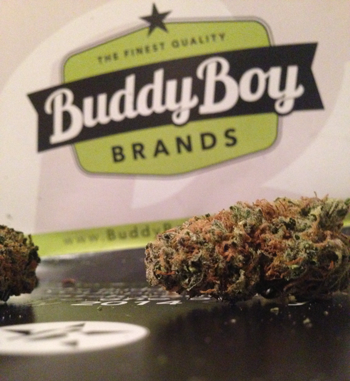 Buddy Boy Brands Dispensary