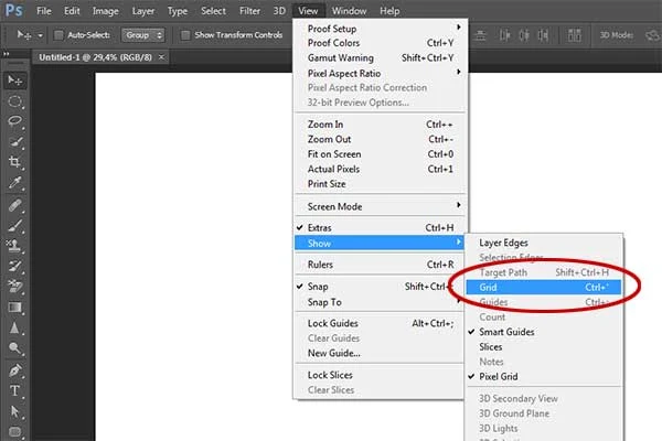 To add the grid, choose View>Show>Grid (Ctrl+’).