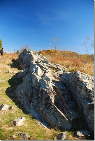 10-21-15 B Meadow Walk (20)