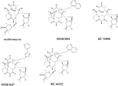 Macrolides and Ketolides Antibiotics