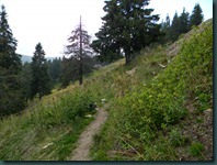 DSCN4567
