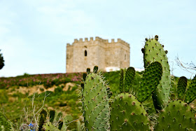 Chumberas. Al fondo, la Torre de Doña Blanca