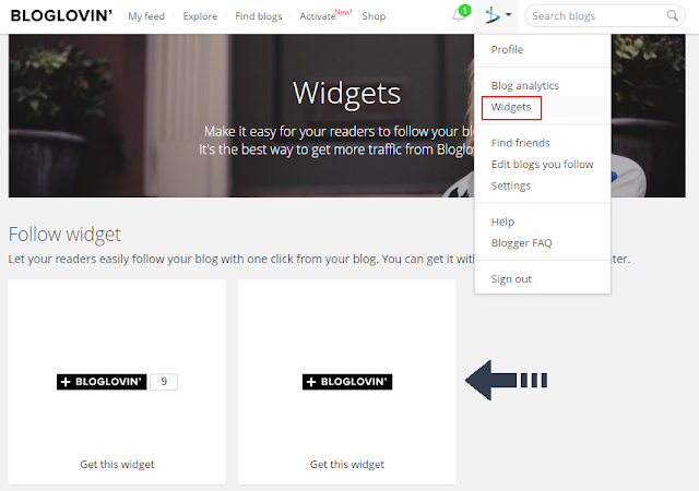 bloglovin widgets