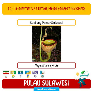 daftar tumbuhan endemik sulawesi dan tumbuhan langka sulawesi