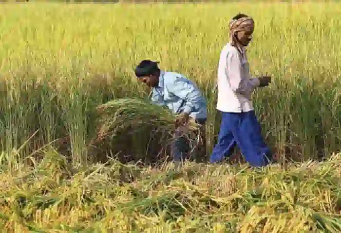 PM Kisan Scheme: Centre may raise amount to Rs 8,000 per farmer