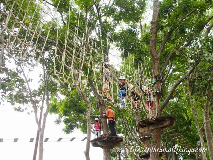 Forest Adventure9