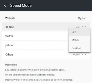 Website Preference - Speed Mode