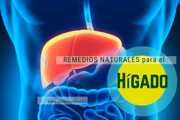 Remedios naturales para el Hígado y problemas hepáticos