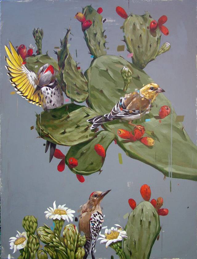 Bird Paintings By Frank Gonzales